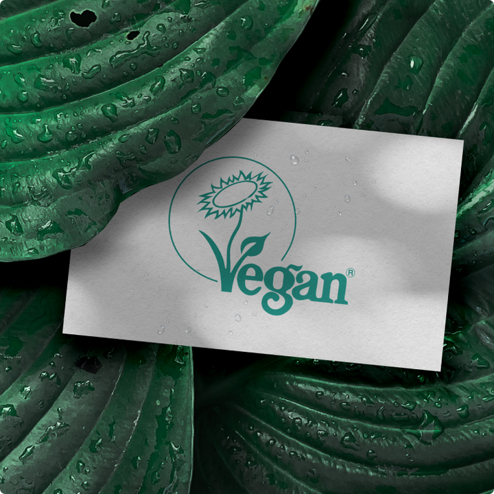 Instant Ageback Anti-Aging Lifting-Set – 3 Schritte zu strahlend glatter und jugendlicher Haut - Vitayes Official Store - Deutschland